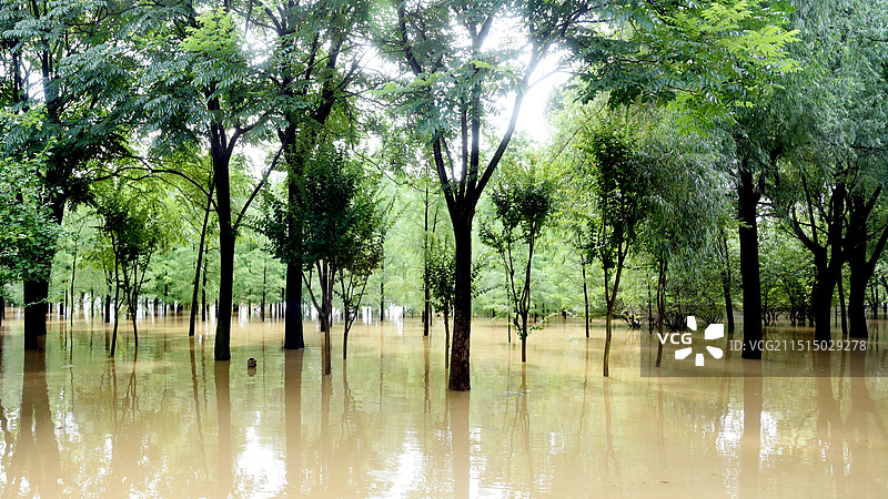 洪水中的汨罗江畔图片素材