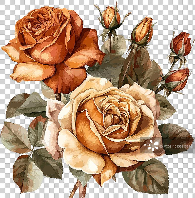 复古秋季玫瑰剪贴画图片素材