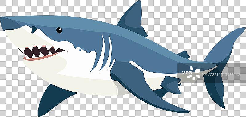 扁平风鲨鱼图片素材