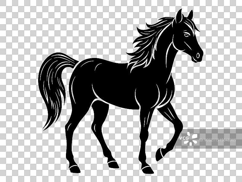 草地上跳跃的马剪影图片素材