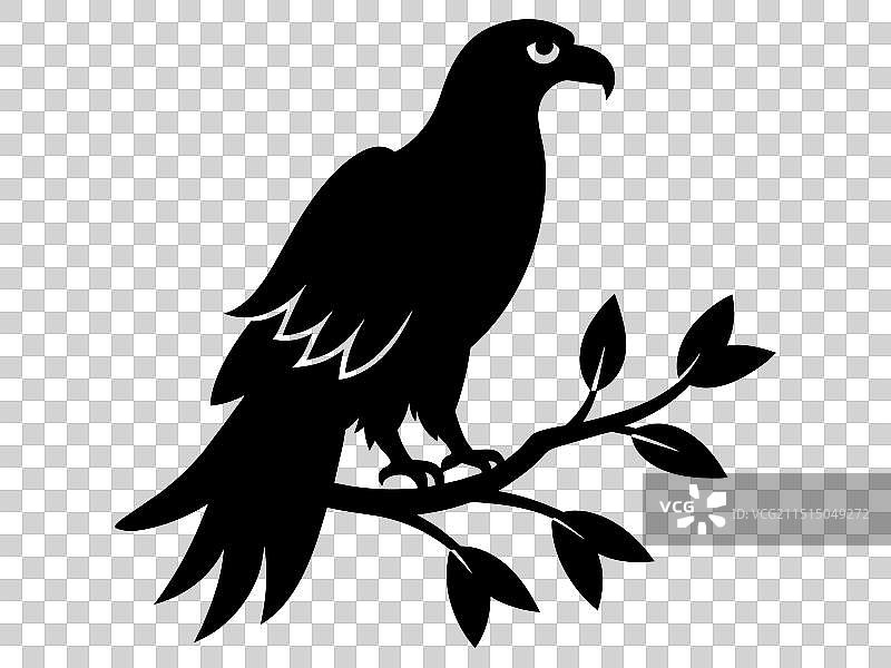 黑色剪影：树枝上的秃鹰图片素材