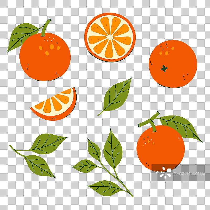 橙子叶子和部分图片素材