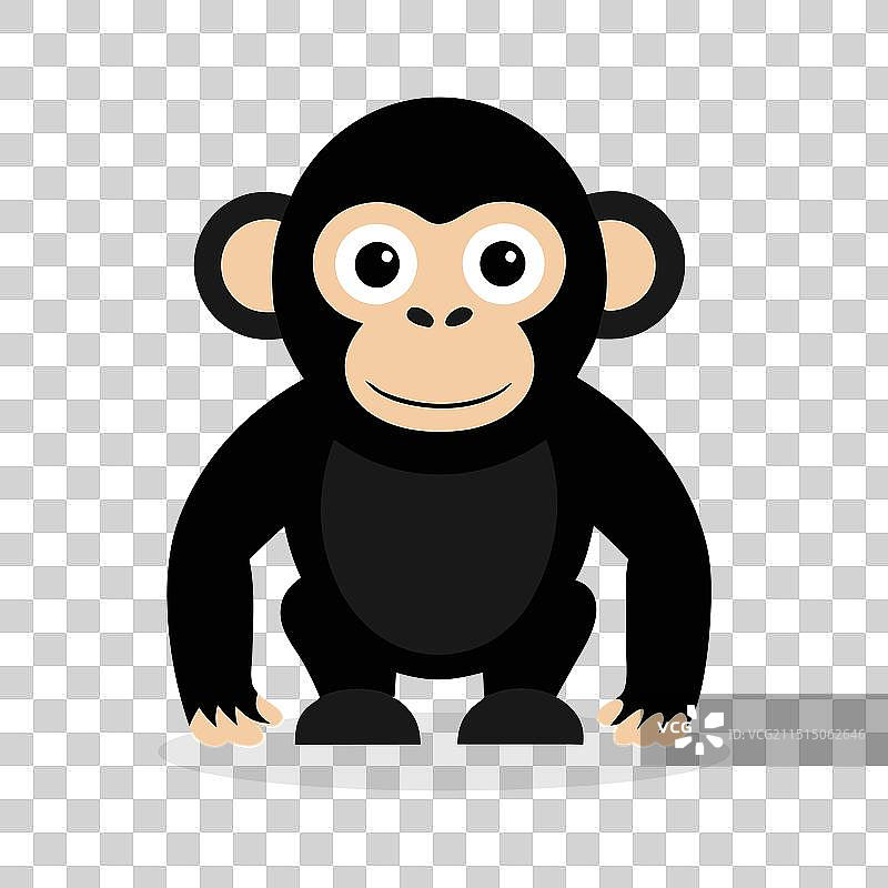 白色背景上孤立的黑猩猩图片素材