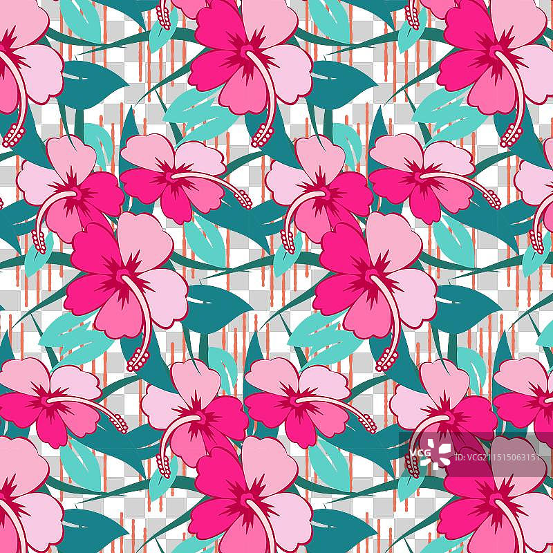 色彩斑斓的芙蓉花无缝图案图片素材
