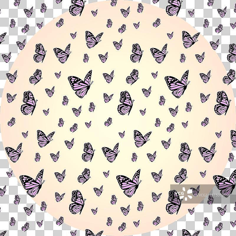 粉色虎凤蝶图案图片素材