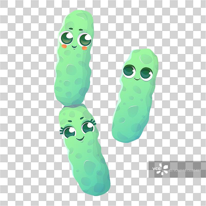 枯草芽孢杆菌图片素材