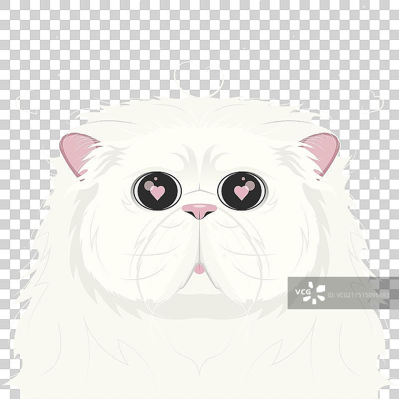 心形眼猫咪情人节图片素材