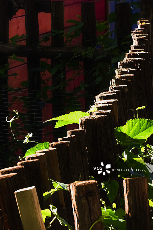 一个篱笆三个桩图片素材