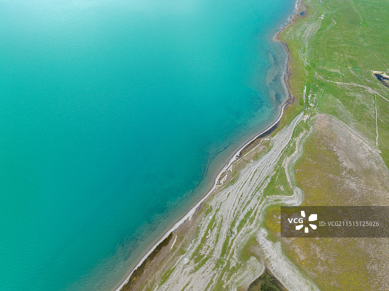 航拍青海湖蔚蓝色的湖水，嫩绿色的草原和蓝天白云，公路蜿蜒，牛羊成群，田园风光图片素材