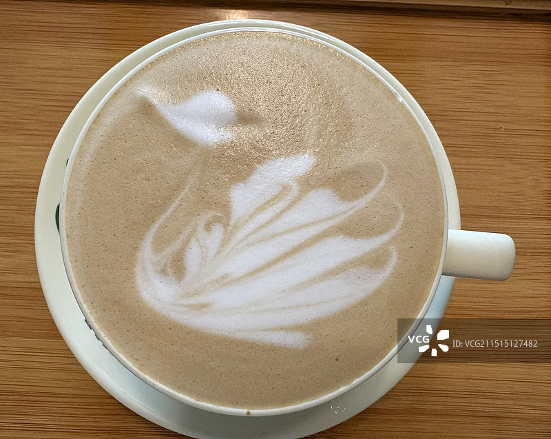 卡布奇诺（小天鹅）图片素材