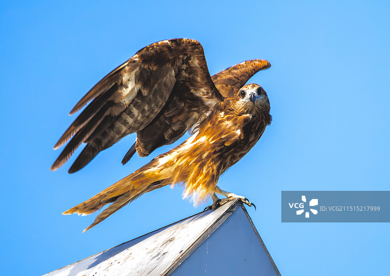 准备起飞！图片素材