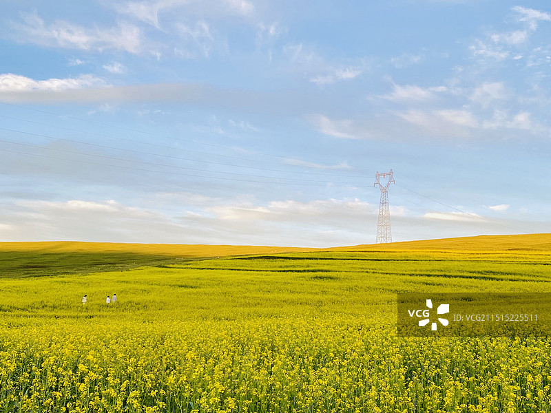 蓝天下的辉腾锡勒草原图片素材