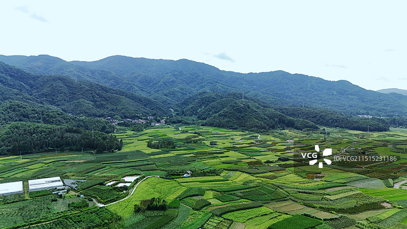 农业田顶天景观图片素材