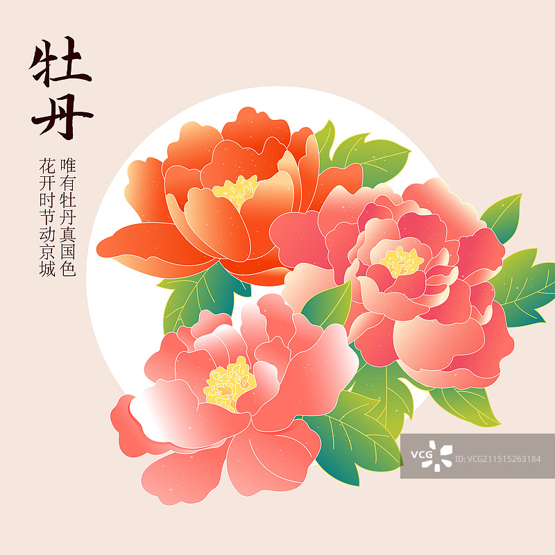 国风牡丹芍药花卉矢量插画海报图片素材
