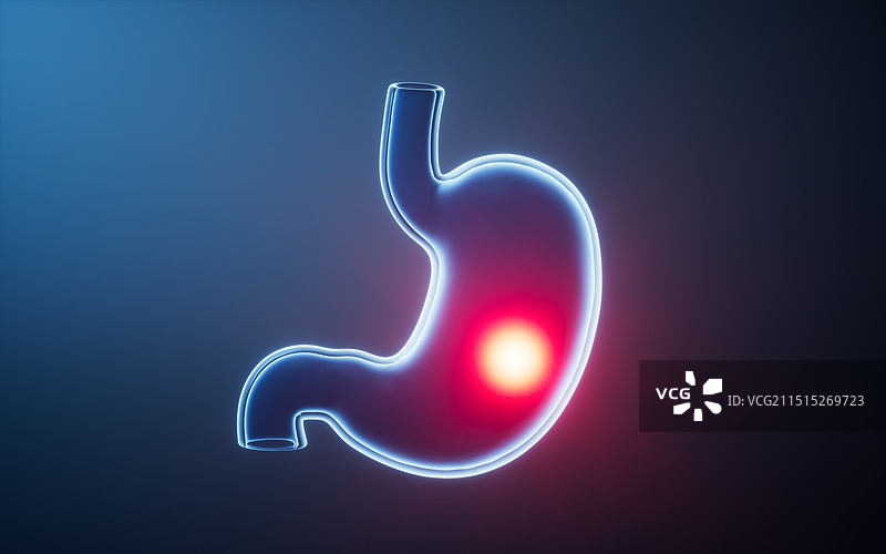 透明生物医学胃部器官三维渲染图片素材