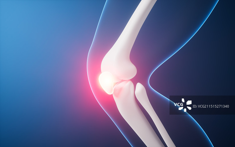 透明人体腿部骨骼三维渲染图片素材