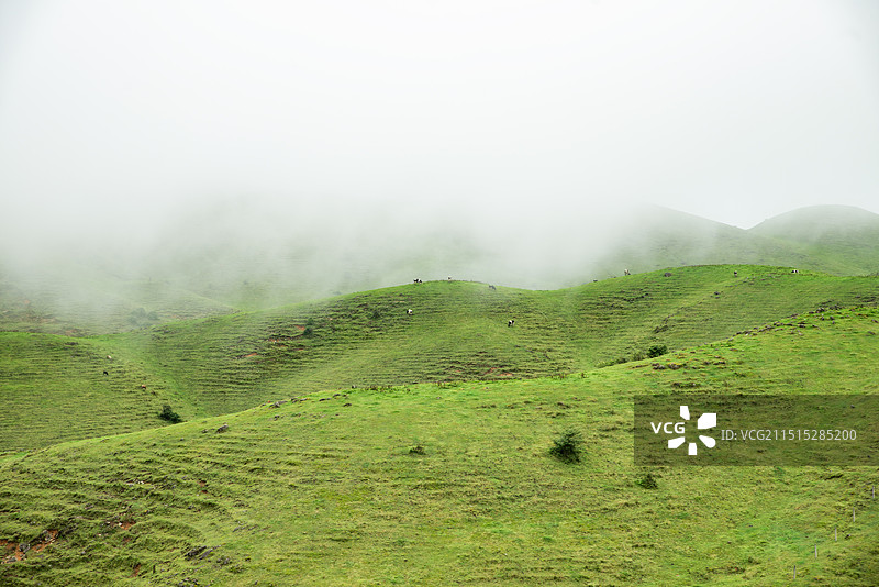 航拍湖南邵阳城步南山大草原风光图片素材