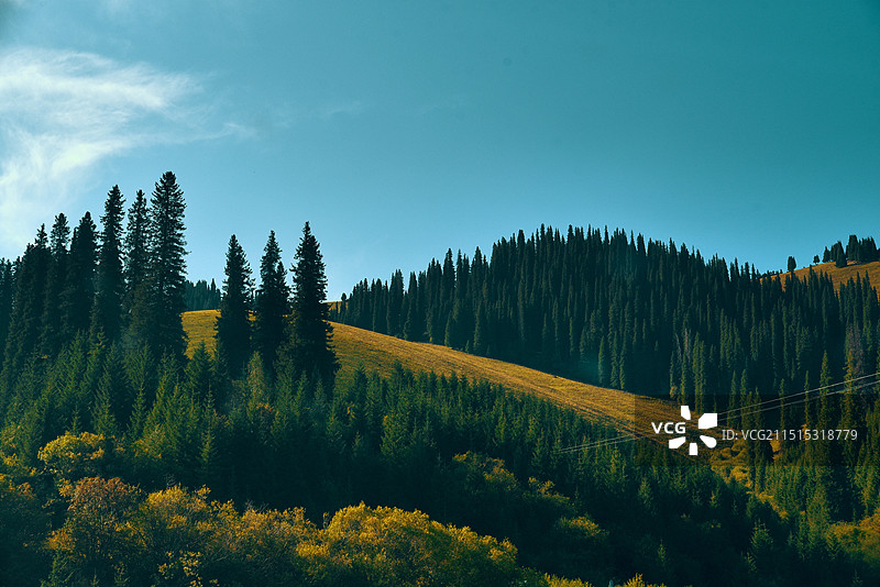 伊犁州新源县那拉提山地草原图片素材