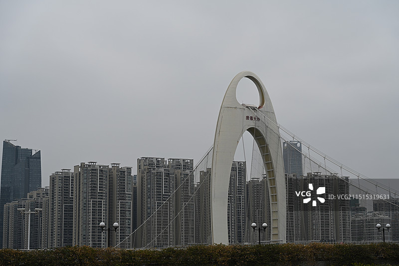 广东广州春季阴天里的猎德大桥图片素材