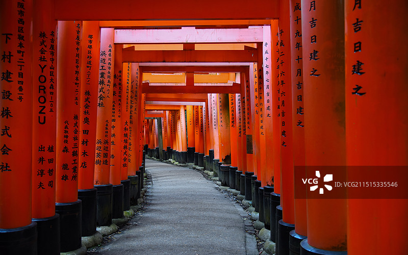 日本伏见稻荷大社的千鸟居图片素材