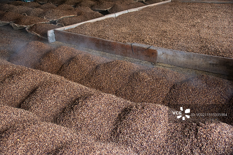 酿酒 酒曲图片素材