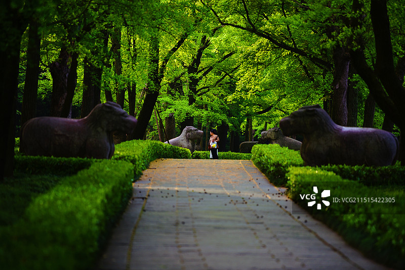 明孝陵神道·凝望神兽图片素材