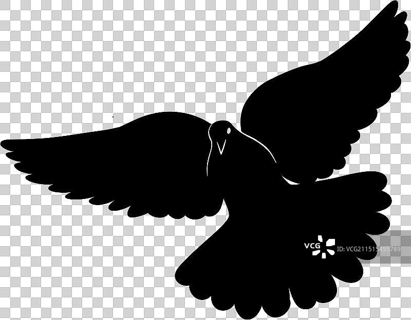 国庆节节庆鸽子白鸽免抠元素剪影4图片素材