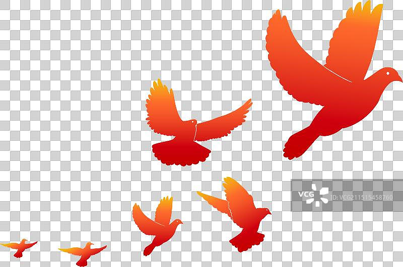 节日国庆一群鸽子飞舞在广场剪影素材2图片素材