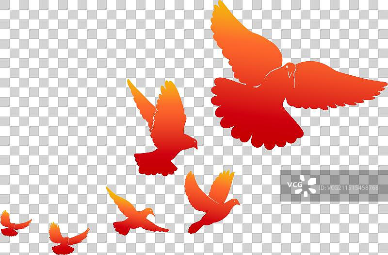 节日国庆一群鸽子飞舞在广场剪影素材4图片素材