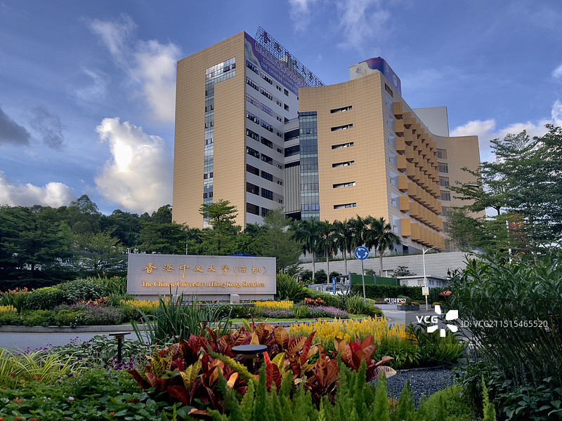香港中文大学   深圳图片素材