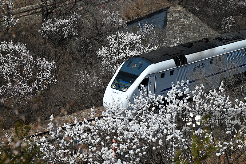 春天的列车图片素材