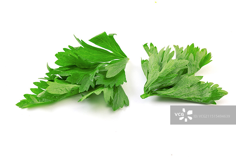 家常蔬菜芹菜叶子特写图片素材
