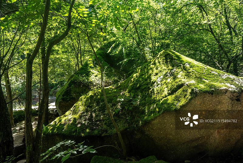 河南省洛阳市栾川县叫河镇天河大峡谷景区风光图片素材