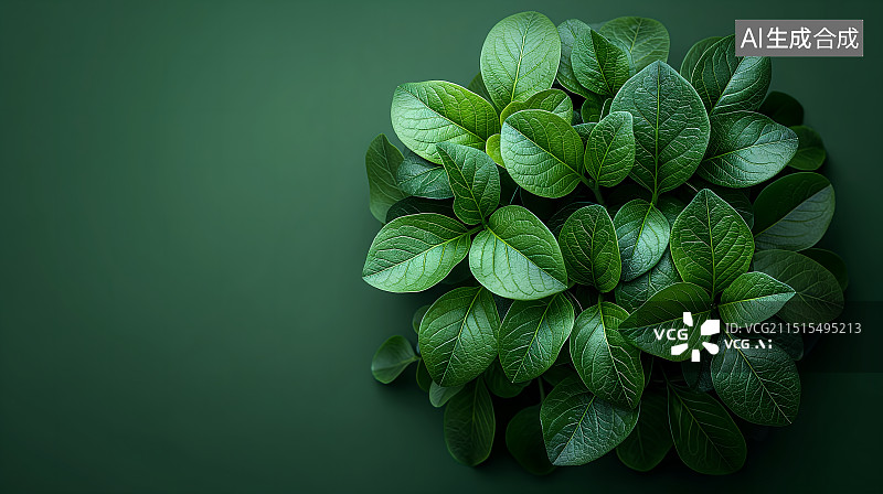 【AI数字艺术】绿色背景下树叶的特写镜头背景图片素材