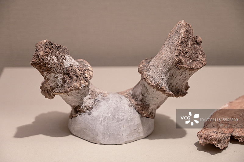 辽宁博物馆旧石器时代--肿骨鹿角图片素材