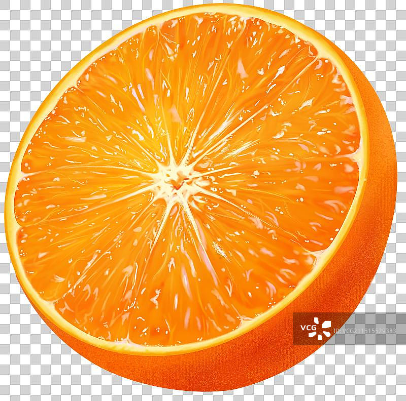 写实风手绘柑橘免抠元素：一半切开的橙子果肉图片素材