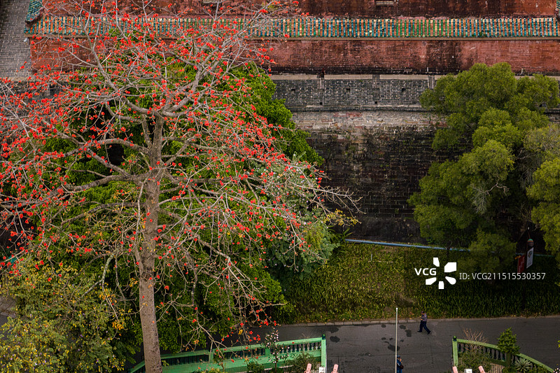 越秀山图片素材