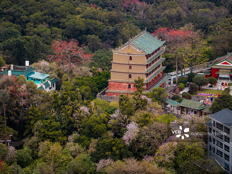 越秀山图片素材