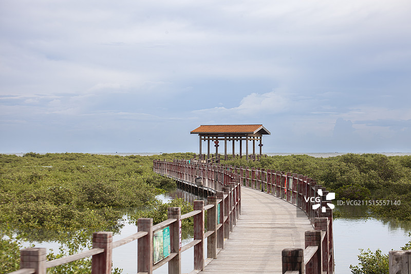 北海金海湾红树林生态旅游区图片素材