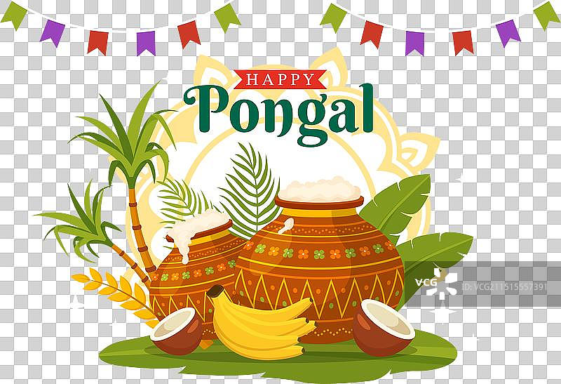 印度泰米尔纳德邦传统庞格尔节图片素材