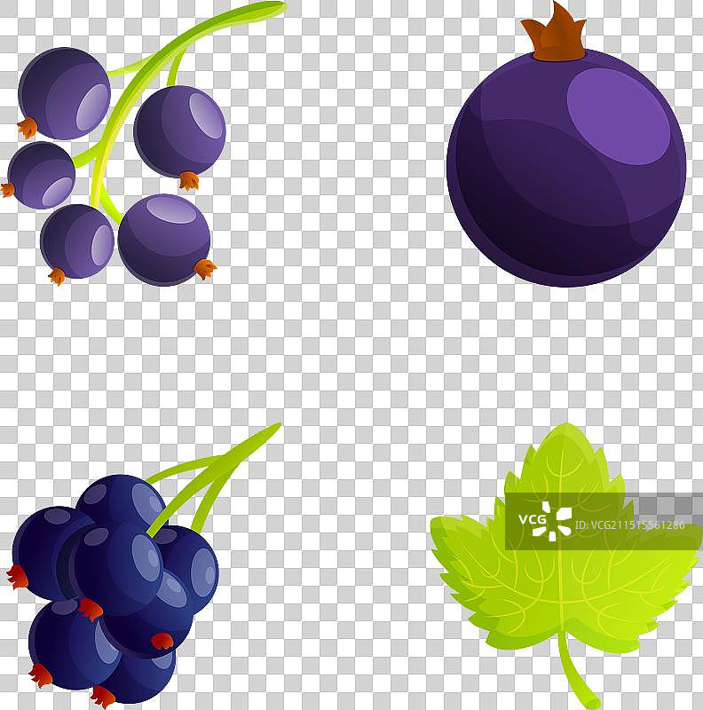 黑加仑图标卡通新鲜图片素材