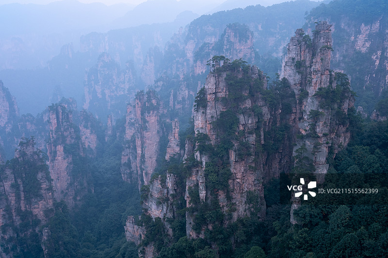 中国湖南省张家界国家森林公园，武陵源风景名胜区，石英砂岩大峰林，耸立如林的山脊山峰风景图片素材
