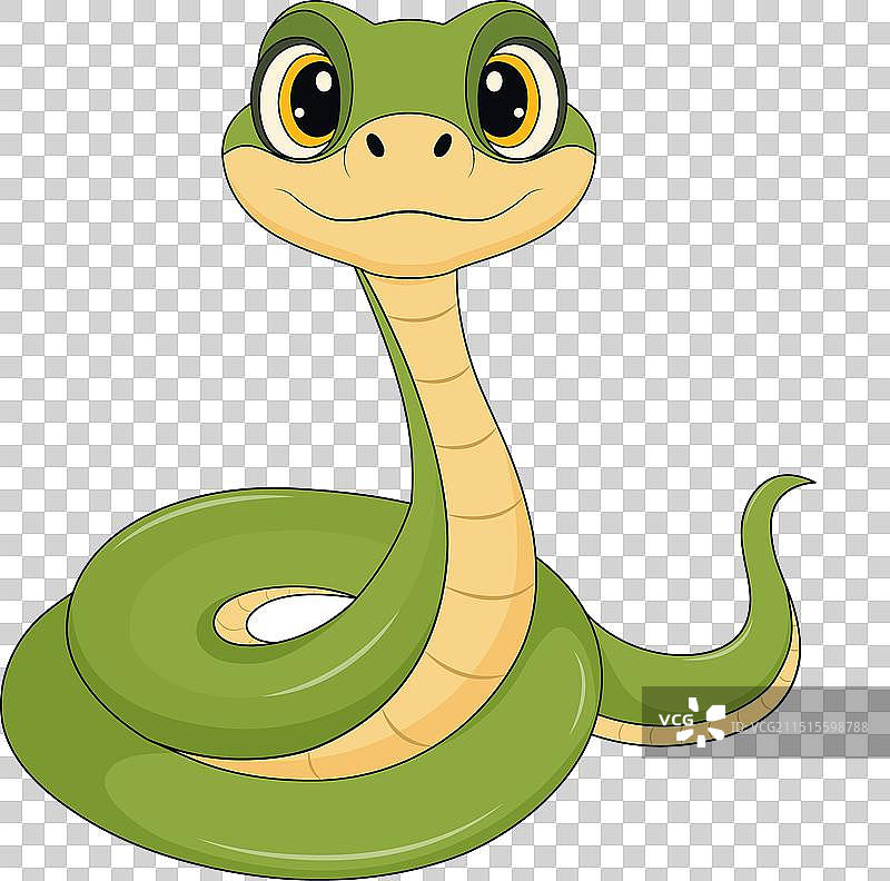 可爱的卡通绿蛇形象图片素材