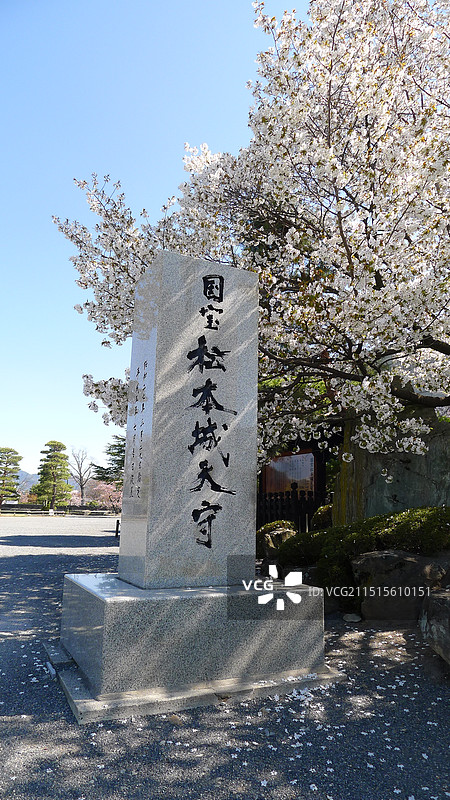 日本春天长野松本城图片素材