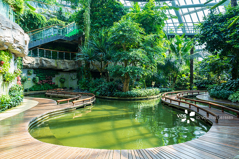惠州植物园里的绿色景观图片素材