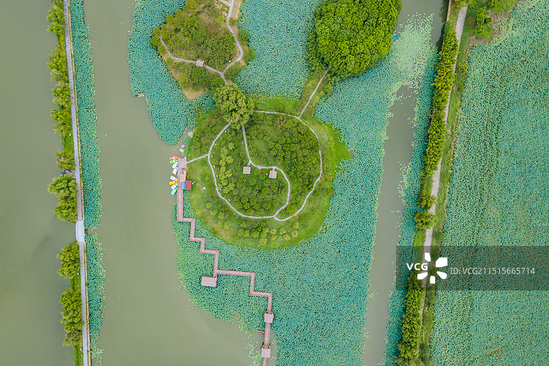 航拍江苏省泰州市兴化李中水上森林公园风光图片素材