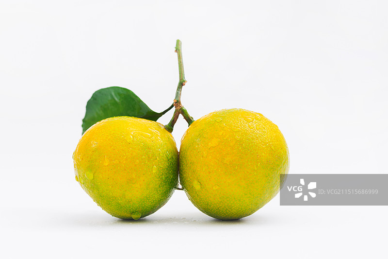 江西南丰蜜桔，南丰橘图片素材