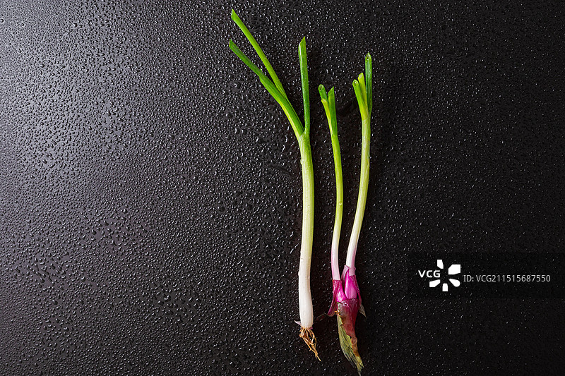 新鲜的香葱图片素材