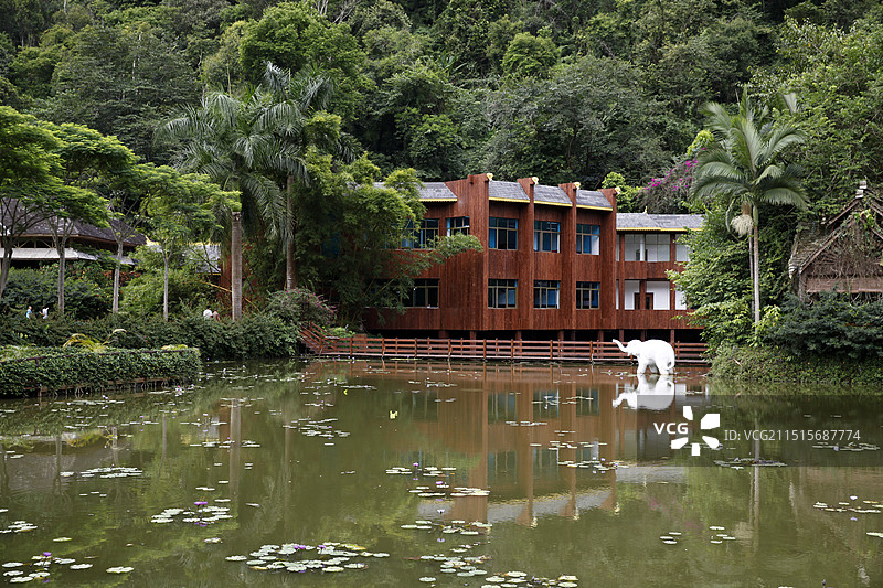 云南西双版纳野象谷大象表演图片素材