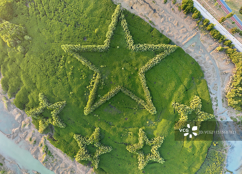 下潭尾红树林公园图片素材